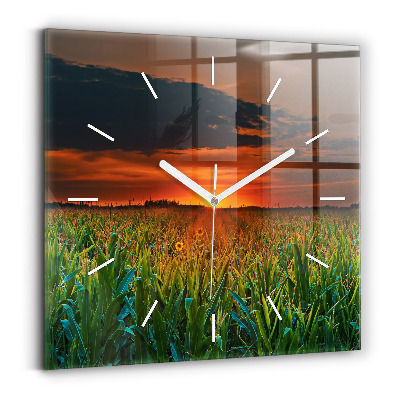 Szögletes fali üvegóra Napraforgó a réten