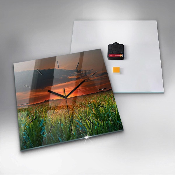 Szögletes fali üvegóra Napraforgó a réten