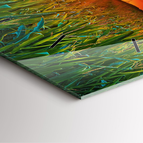 Szögletes fali üvegóra Napraforgó a réten