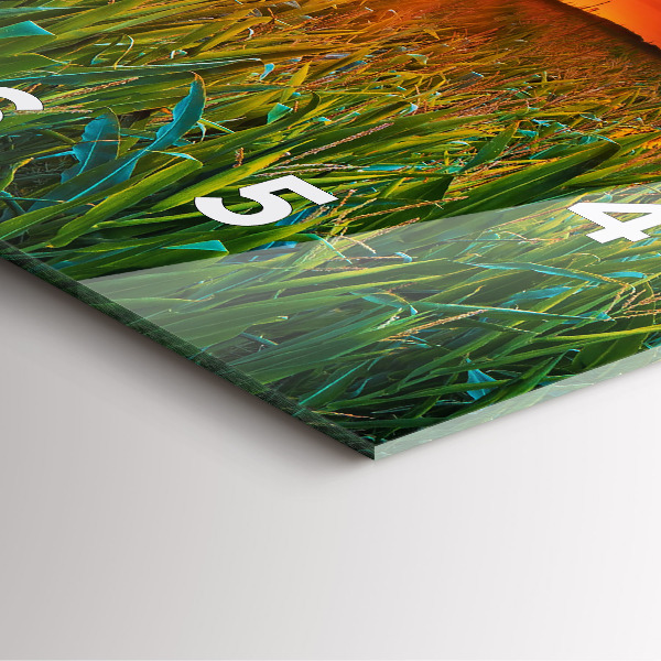 Szögletes fali üvegóra Napraforgó a réten