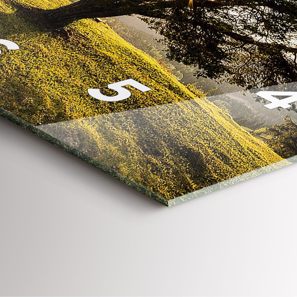 Szögletes fali üvegóra Egy fa a dombon