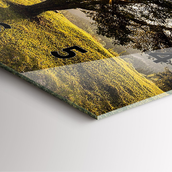 Szögletes fali üvegóra Egy fa a dombon