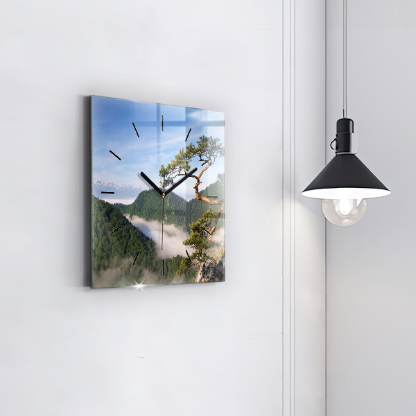 Szögletes fali üvegóra Sokolica csúcs a Pieniny-hegységben