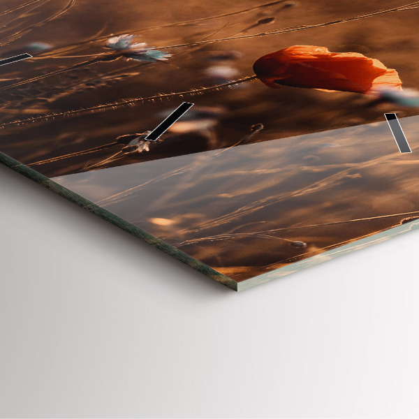 Szögletes fali üvegóra Mezei napkelte