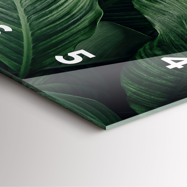 Szögletes fali üvegóra Trópusi szörny