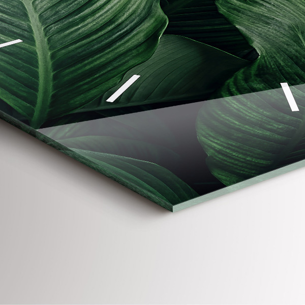 Szögletes fali üvegóra Trópusi szörny