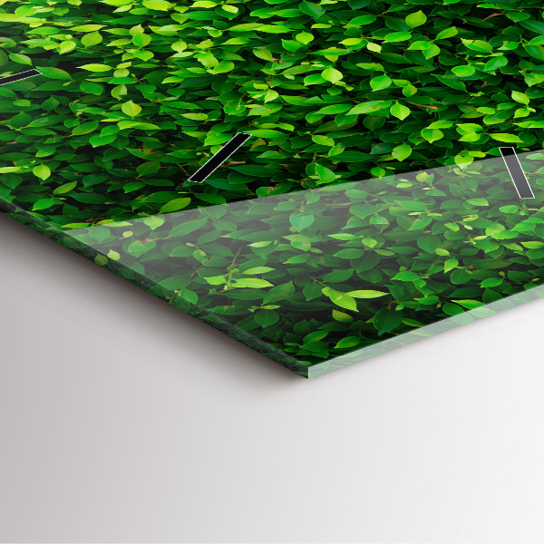 Szögletes fali üvegóra Sövénylevelek