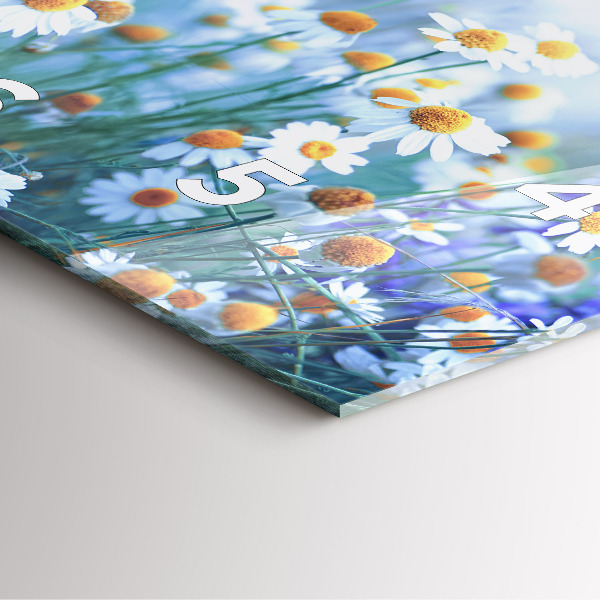 Szögletes fali üvegóra Pillangó a réten