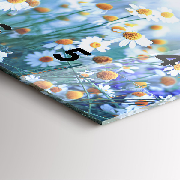 Szögletes fali üvegóra Pillangó a réten