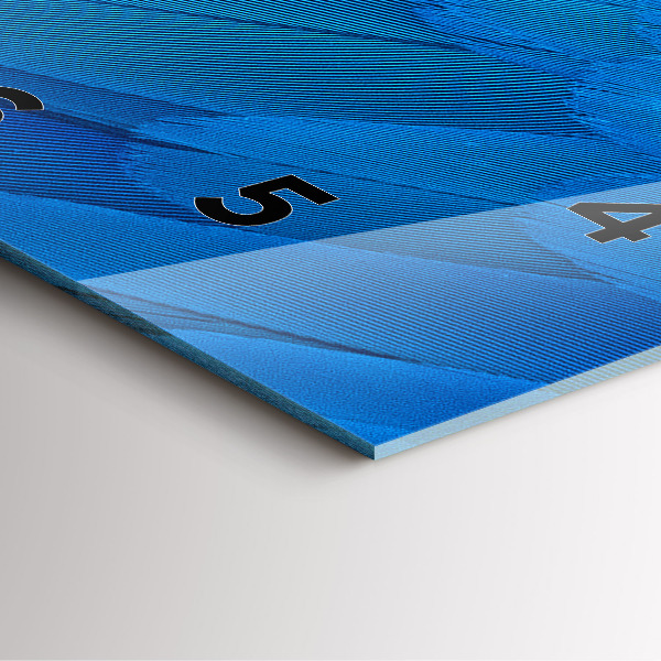 Szögletes fali üvegóra Madár toll