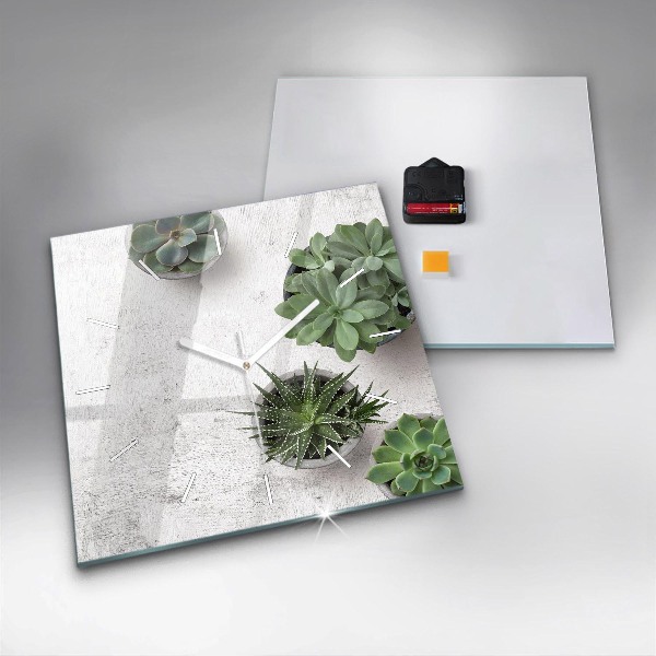 Szögletes fali üvegóra Dísznövények