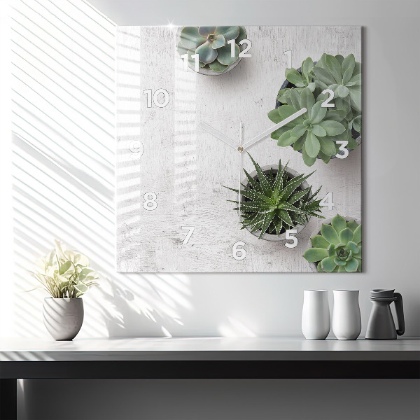 Szögletes fali üvegóra Dísznövények