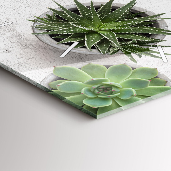 Szögletes fali üvegóra Dísznövények