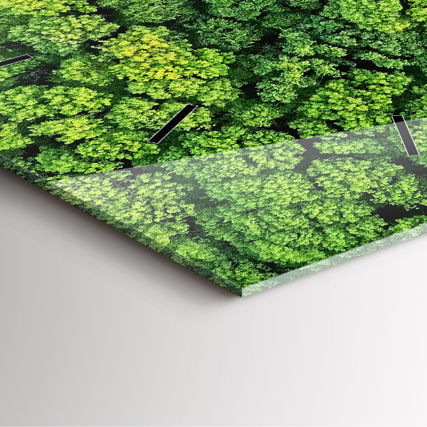 Szögletes fali üvegóra Erdő felülről