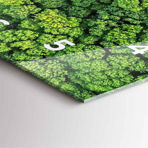 Szögletes fali üvegóra Erdő felülről