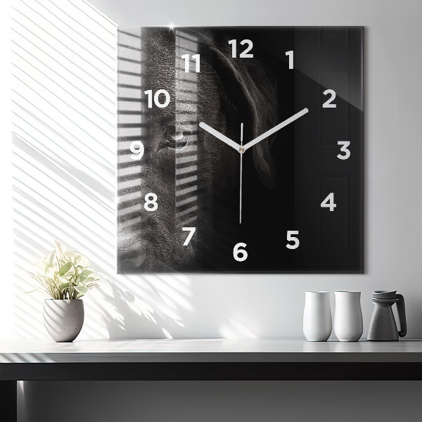 Szögletes fali üvegóra Scottish Fold kutya és macska