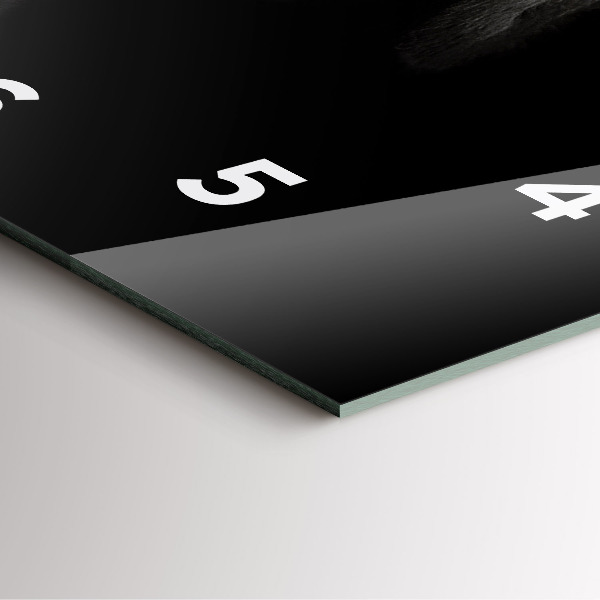 Szögletes fali üvegóra Scottish Fold kutya és macska