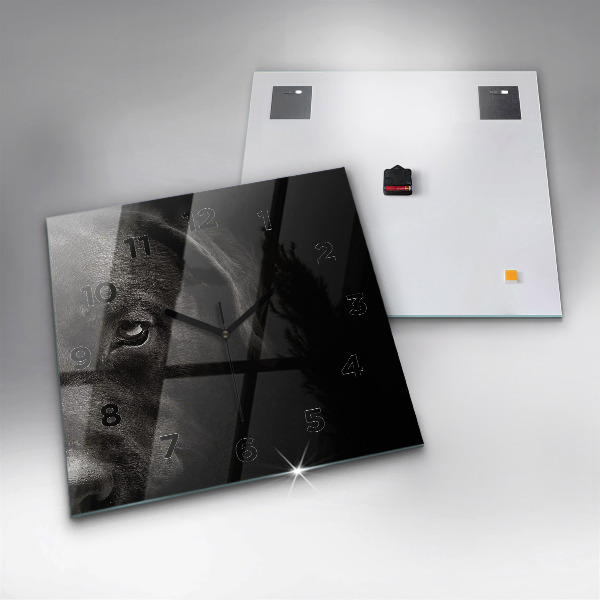 Szögletes fali üvegóra Scottish Fold kutya és macska