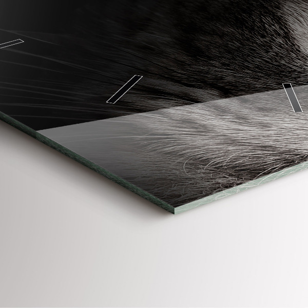 Szögletes fali üvegóra Scottish Fold kutya és macska