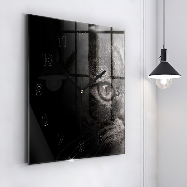 Szögletes fali üvegóra Scottish Fold kutya és macska