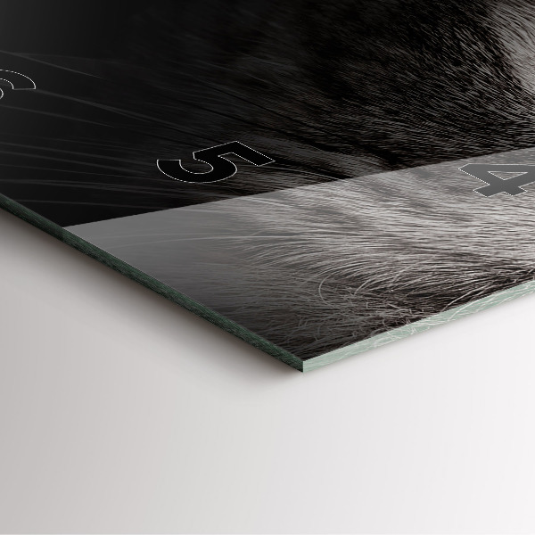 Szögletes fali üvegóra Scottish Fold kutya és macska