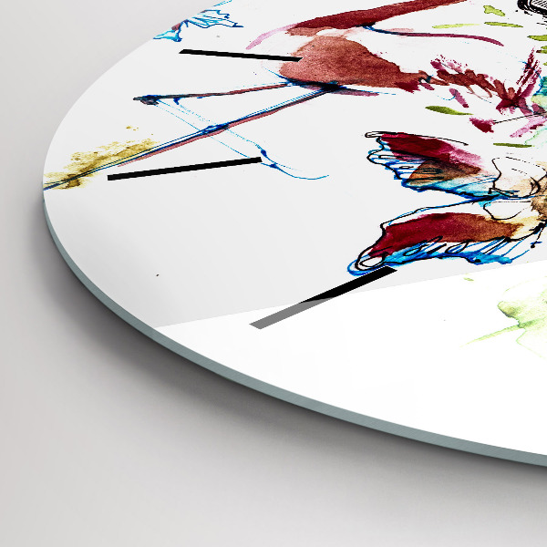 Kerek fali üvegóra Zoológus