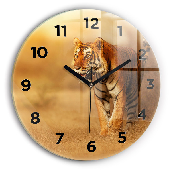Kerek fali üvegóra Vadásztigris