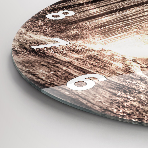 Kerek fali üvegóra Erdei ösvény szépia