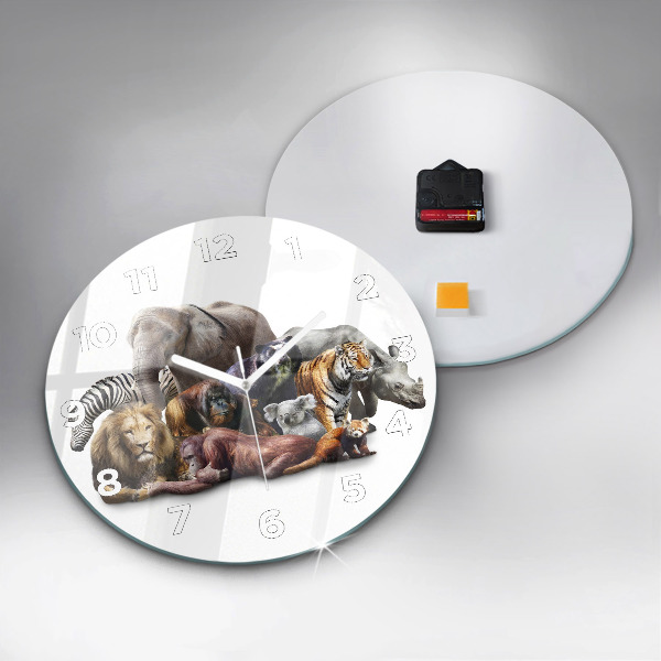 Kerek fali üvegóra Vadon élő állatok