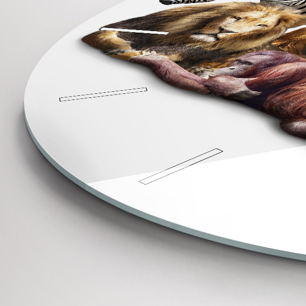 Kerek fali üvegóra Vadon élő állatok