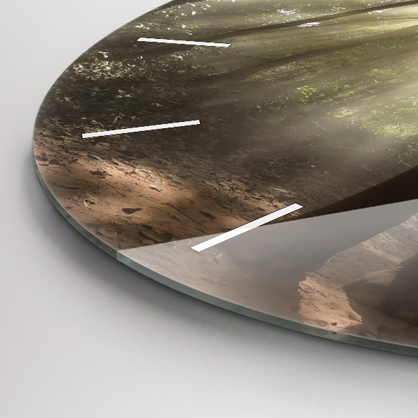 Kerek fali üvegóra Elefánt a dzsungelben