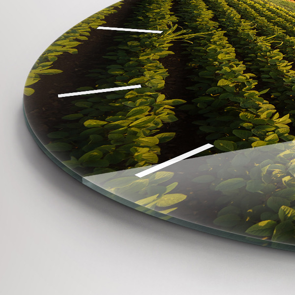 Kerek fali üvegóra Traktor egy mezőgazdasági területen