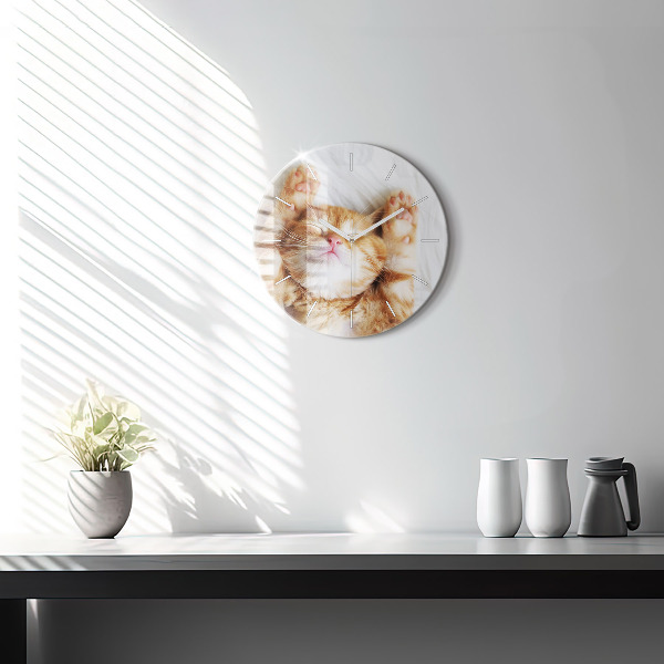 Kerek fali üvegóra Alvó kis cica