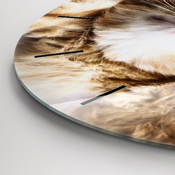 Kerek fali üvegóra Alvó kis cica