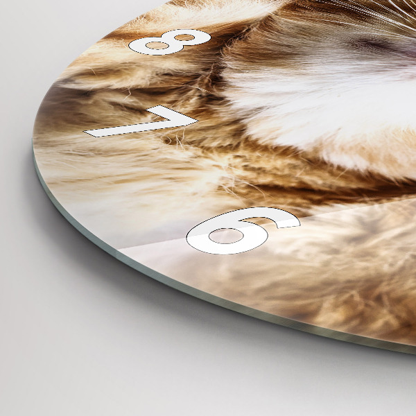 Kerek fali üvegóra Alvó kis cica