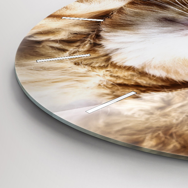 Kerek fali üvegóra Alvó kis cica