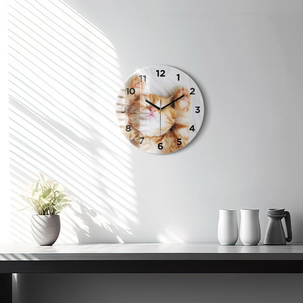Kerek fali üvegóra Alvó kis cica
