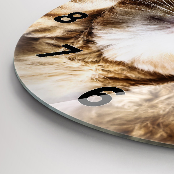 Kerek fali üvegóra Alvó kis cica