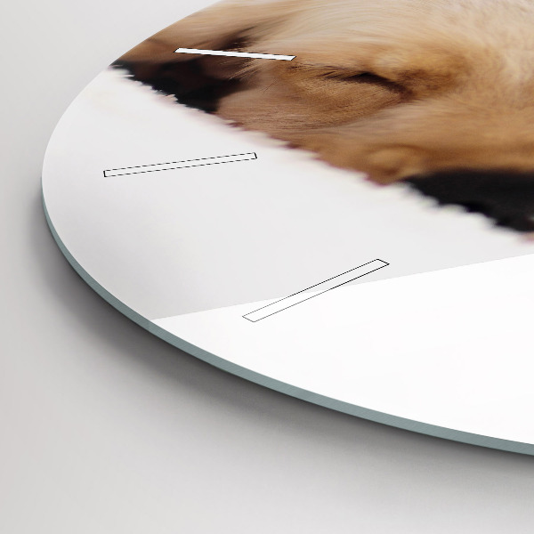 Kerek fali üvegóra Alvó macska és kutya