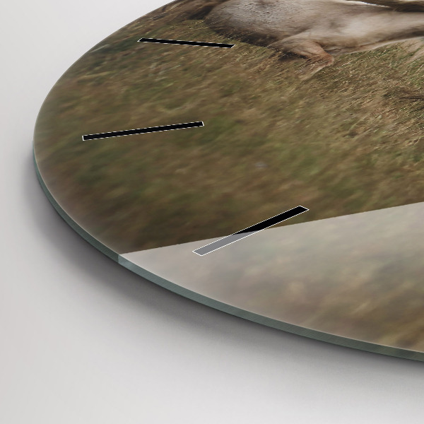 Kerek fali üvegóra Lovak vágtában