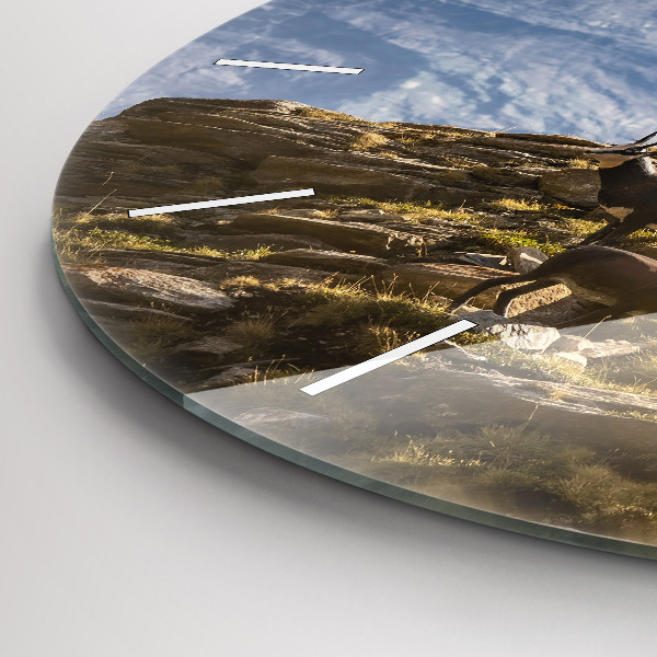 Kerek fali üvegóra Kecske az Aosta-völgyben