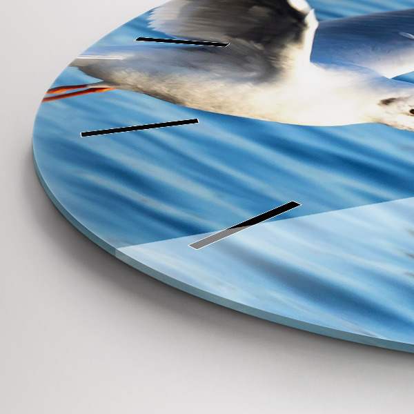 Kerek fali üvegóra Sirályok Gdyniában