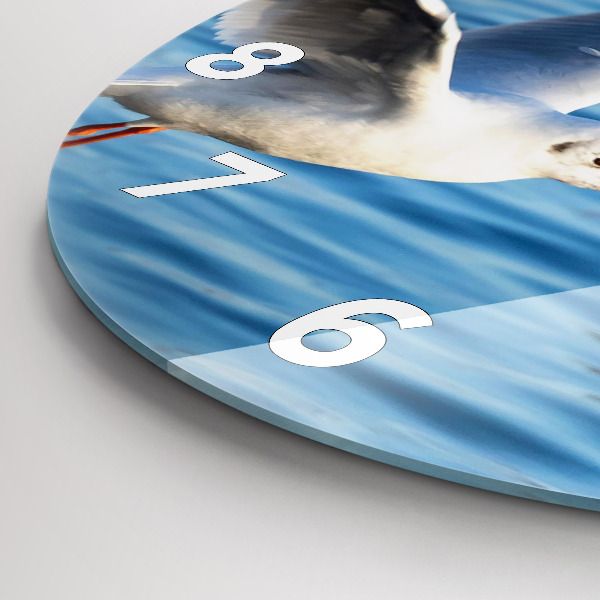 Kerek fali üvegóra Sirályok Gdyniában