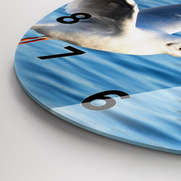 Kerek fali üvegóra Sirályok Gdyniában