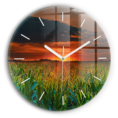 Kerek fali üvegóra Napraforgó a réten