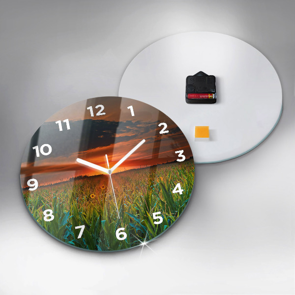Kerek fali üvegóra Napraforgó a réten