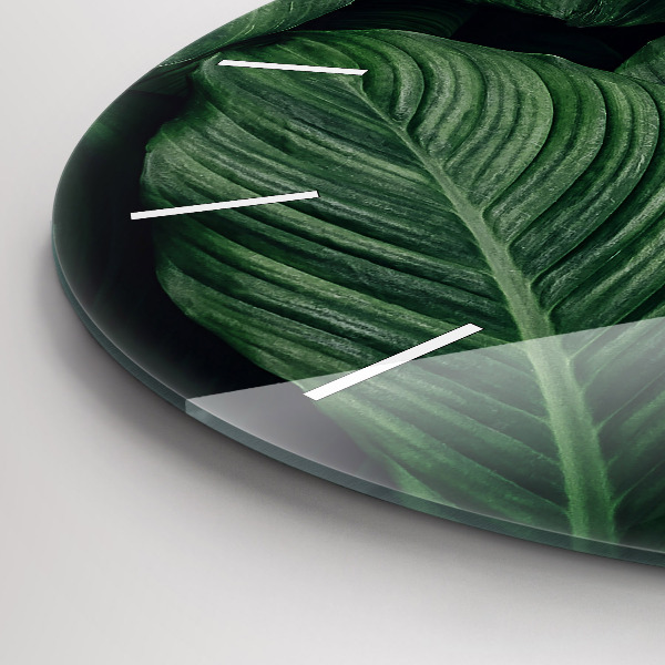 Kerek fali üvegóra Trópusi szörny