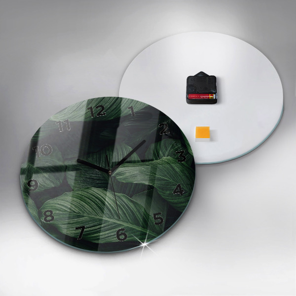 Kerek fali üvegóra Trópusi szörny