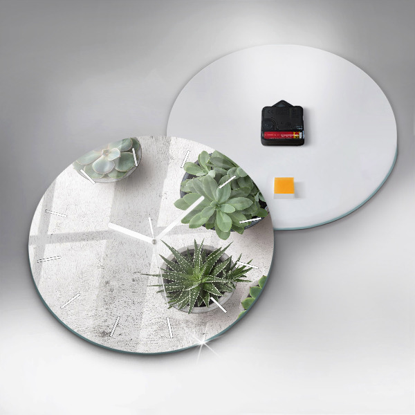 Kerek fali üvegóra Dísznövények