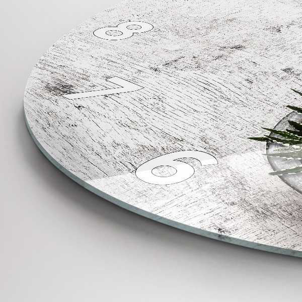 Kerek fali üvegóra Dísznövények